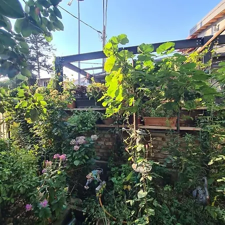 Mansarda Boema, Gradina De Basm Tatil Evi *