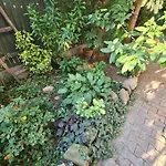 Mansarda Boema, Gradina De Basm Σπίτι διακοπών *