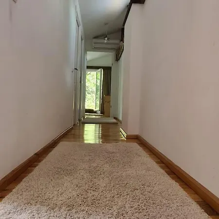 Mansarda Boema, Gradina De Basm Bukareszt