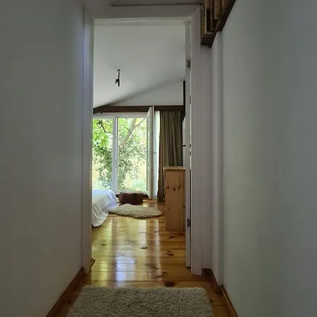 Mansarda Boema, Gradina De Basm