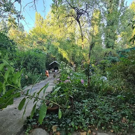 Mansarda Boema, Gradina De Basm *