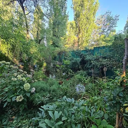 Mansarda Boema, Gradina De Basm *