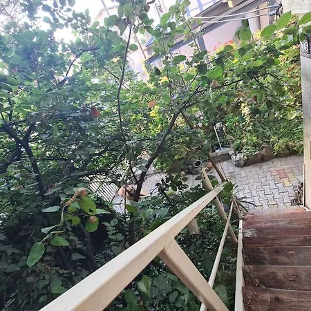 펜션 Mansarda Boema, Gradina De Basm