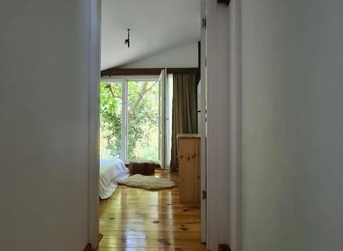 Mansarda Boema, Gradina De Basm