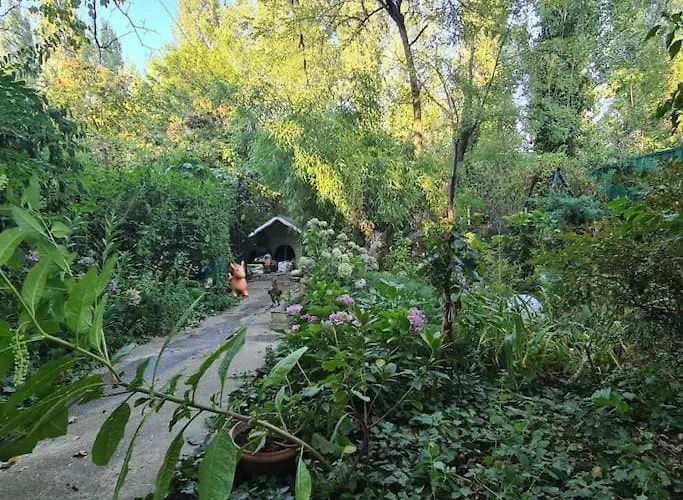 Mansarda Boema, Gradina De Basm *