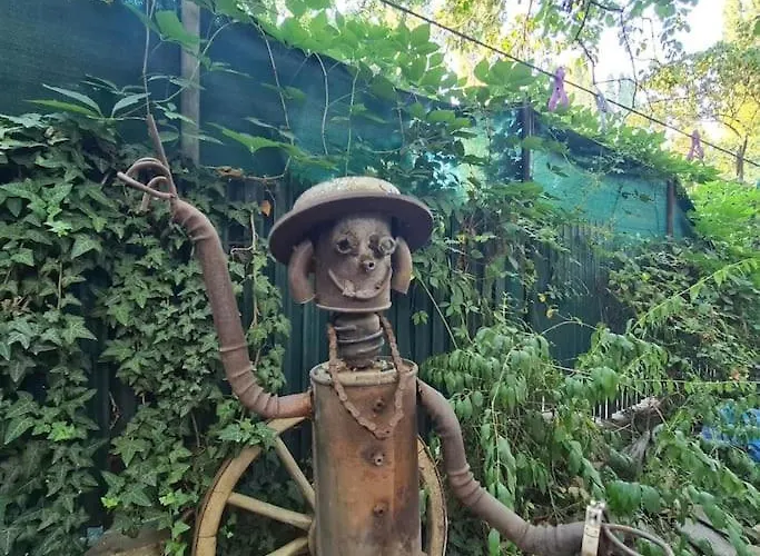 Mansarda Boema, Gradina De Basm Nyaraló