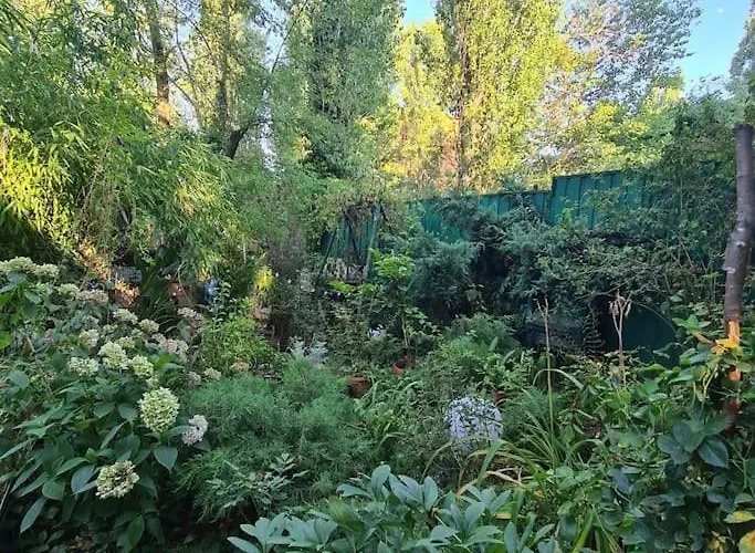 Mansarda Boema, Gradina De Basm *