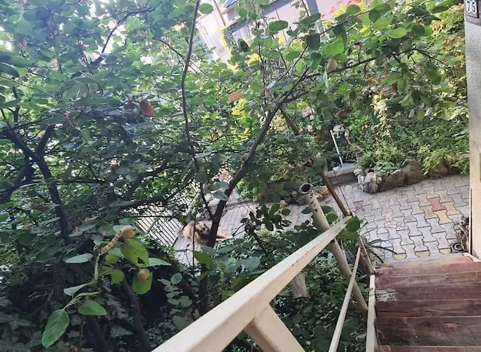 Будинок відпочинку Mansarda Boema, Gradina De Basm