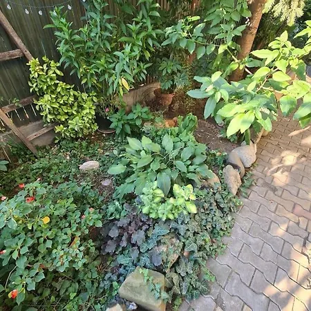 Mansarda Boema, Gradina De Basm Vakantiehuis *
