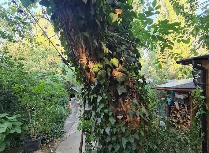Mansarda Boema, Gradina De Basm * Bucarest