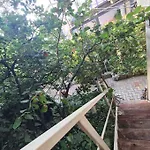펜션 Mansarda Boema, Gradina De Basm