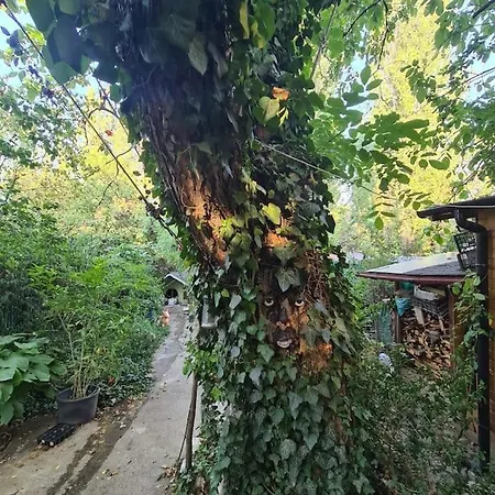 Mansarda Boema, Gradina De Basm * Βουκουρέστι