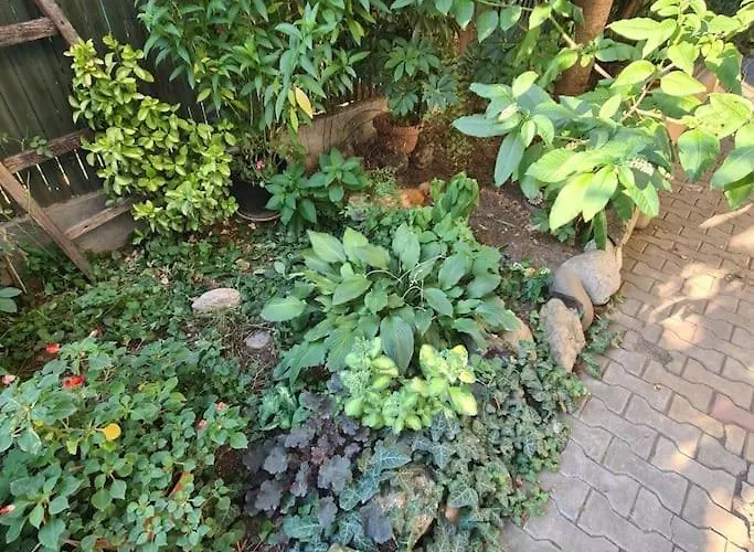 Mansarda Boema, Gradina De Basm Σπίτι διακοπών *